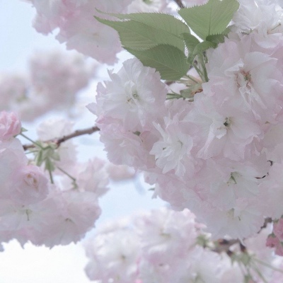 江东FurryQQ群介绍